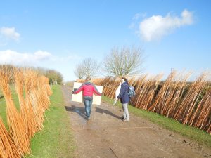 studentswalkingthroughwithies